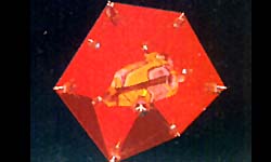 Upgraded Sentinels forming a shield around a Worker